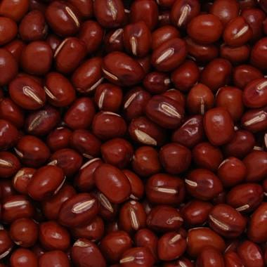 豆 とよみ大納言小豆 あずき 送料無料 北海道産 令和５年産 30kg 業務用※今年は色が濃く小粒です。 