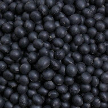 豆 大豆 黒豆 中粒黒豆 北海道産 送料無料 令和7年産 10kg 業務用