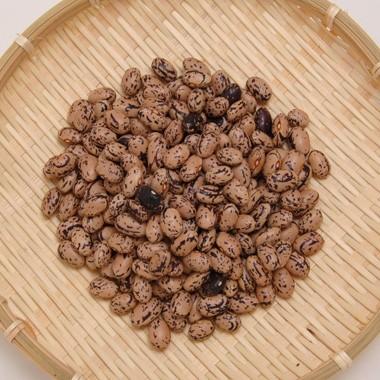 豆 うずら豆 送料無料 北海道産 中長うずら 令和７年産 10kg 業務用