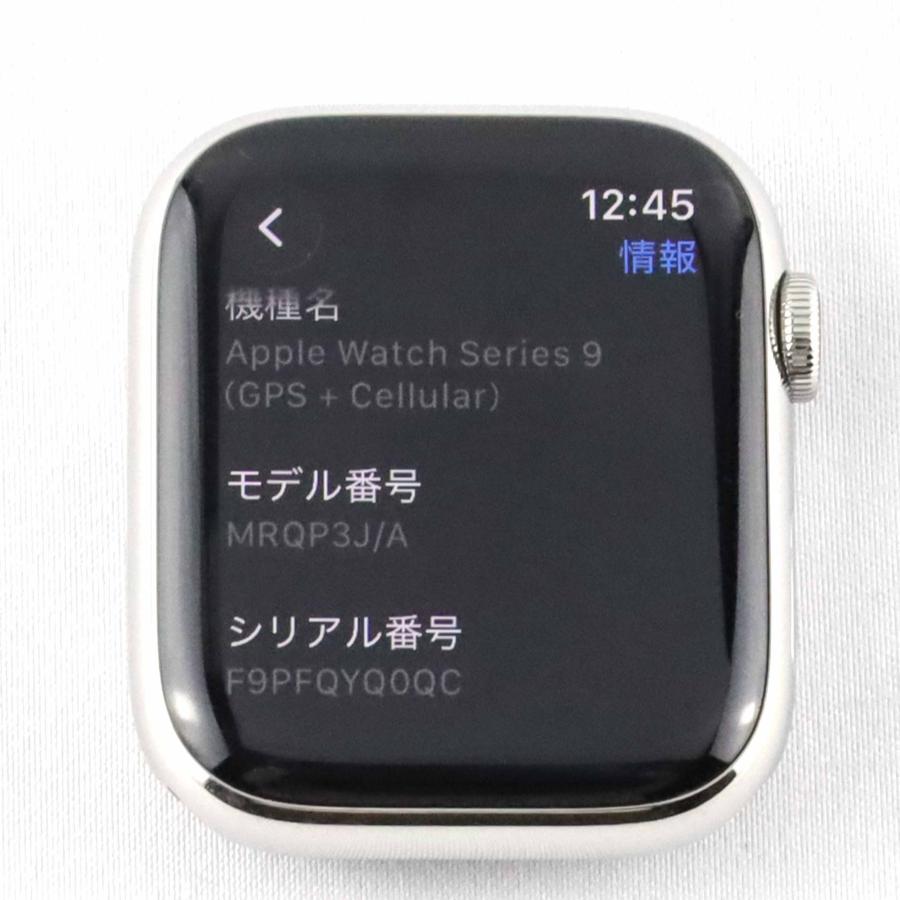 Bランク Apple Watch Hermes Series 9 45mm Silver Stainless A2984 MRQP3J/A 国内版【30日保証】の画像