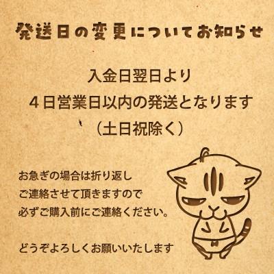 車用マグネット 運転に自信がございません〜お先にどうぞ〜 猫 ネコ 