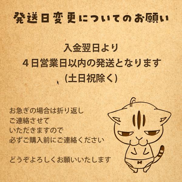 アンブレラマーカー 俺がお前の傘になる チャーム ねこ 猫 ネコ