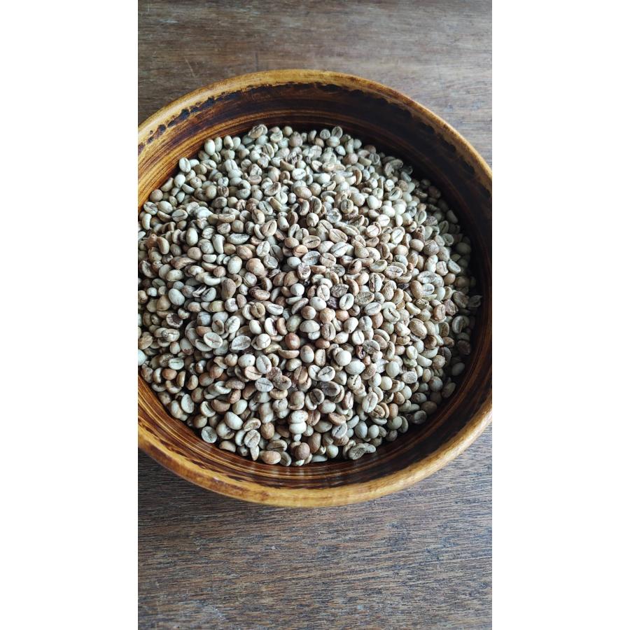 東ティモール】エルメラ コーヒー生豆 5kg コーヒー生豆 | 東