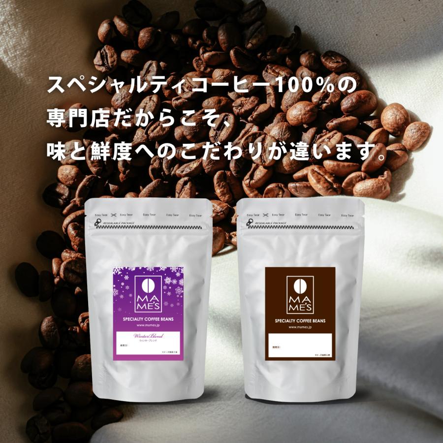コーヒー豆 お試しセット 240g/120g×2種類 ブレンド ストレート メール