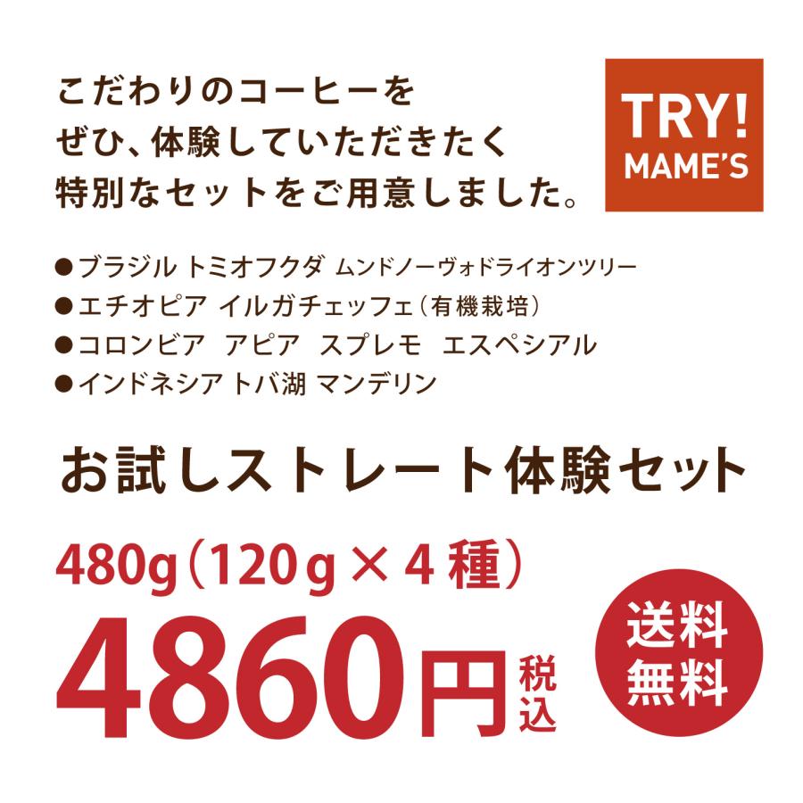 コーヒー豆 お試しセット 480g/120g×4種類 ブラジル エチオピア