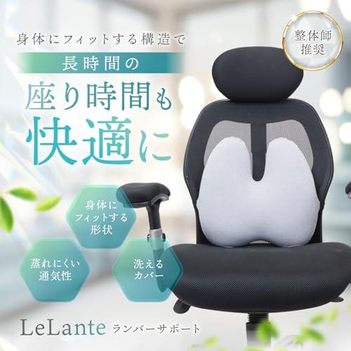所ジョージの世田谷ベース掲載】 車 クッション ランバーサポート