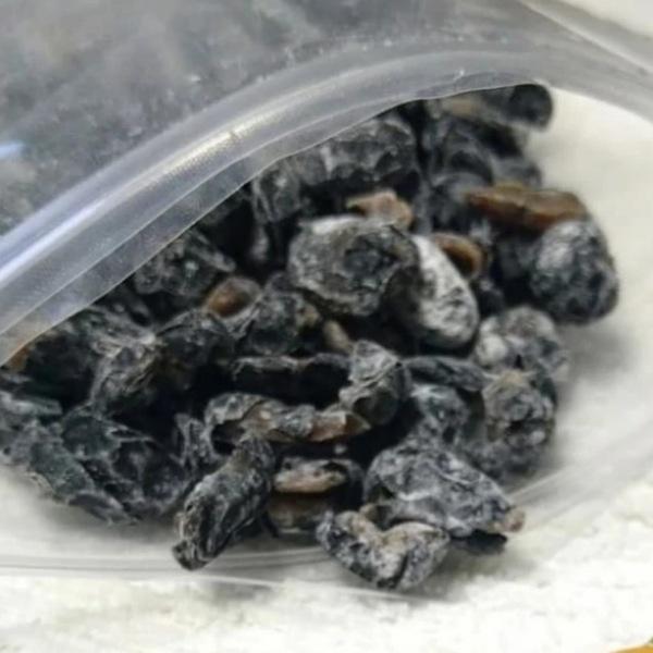 訳あり 丹波黒 甘納豆 500g 黒豆しぼり 国産 おつとめ品 黒豆 おやつ