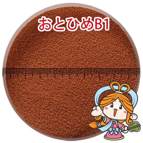連休前発送4/21入金分まで◇日清丸紅飼料 おとひめB1/0.2〜0.36 連休前発送4/21入金分まで◇日清丸紅飼料 おとひめB1/0.2〜0.36