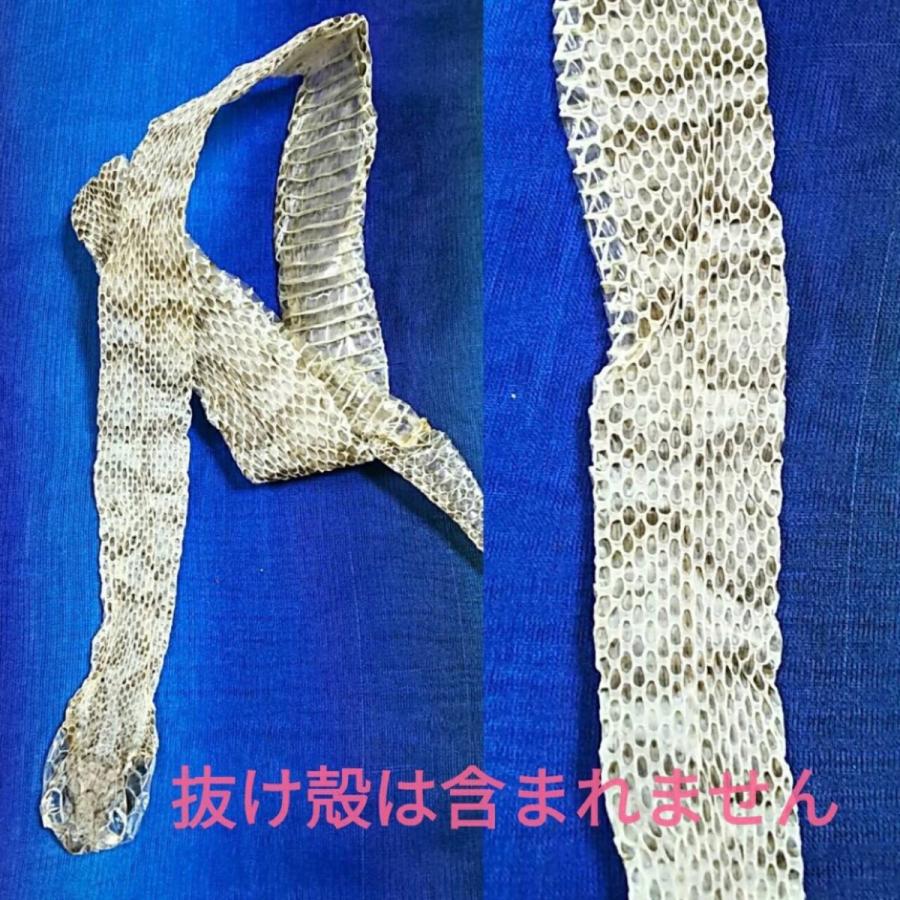 レア 帯 伊勢神宮 杉 切らずに一匹 白蛇 マムシ 頭部 しっぽ お守り 
