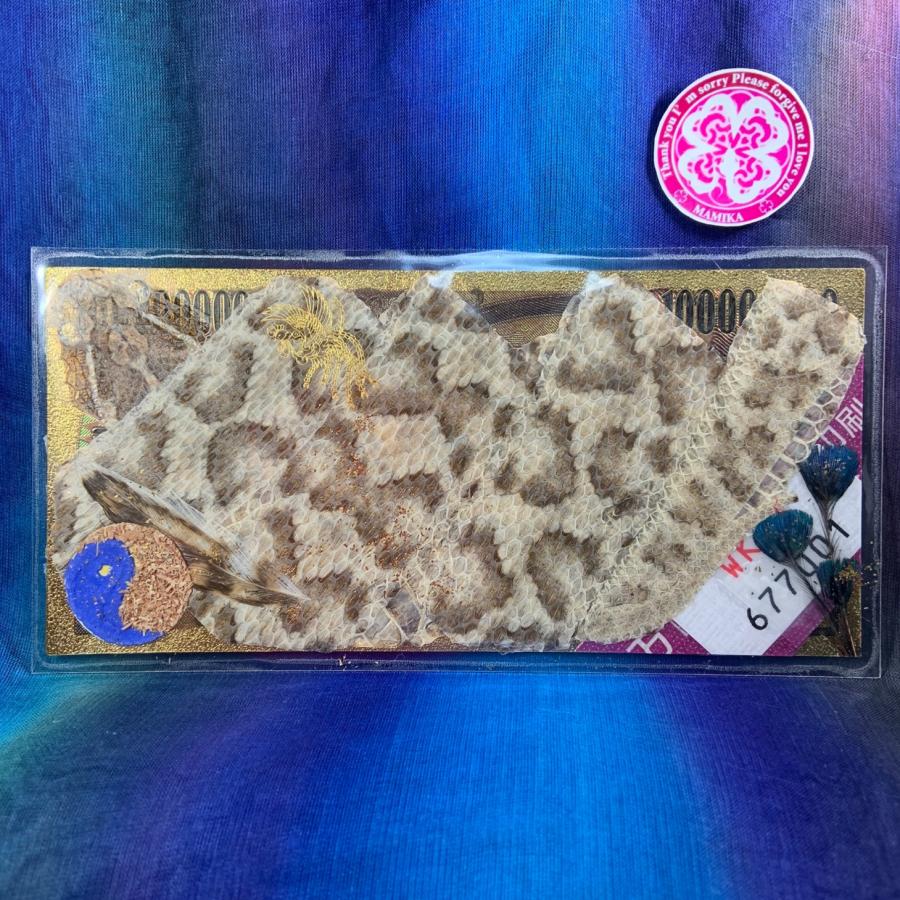 超スペシャル御守り☆ レア 特大マムシ 帯 龍神 龍 伊勢神宮 杉 切らず