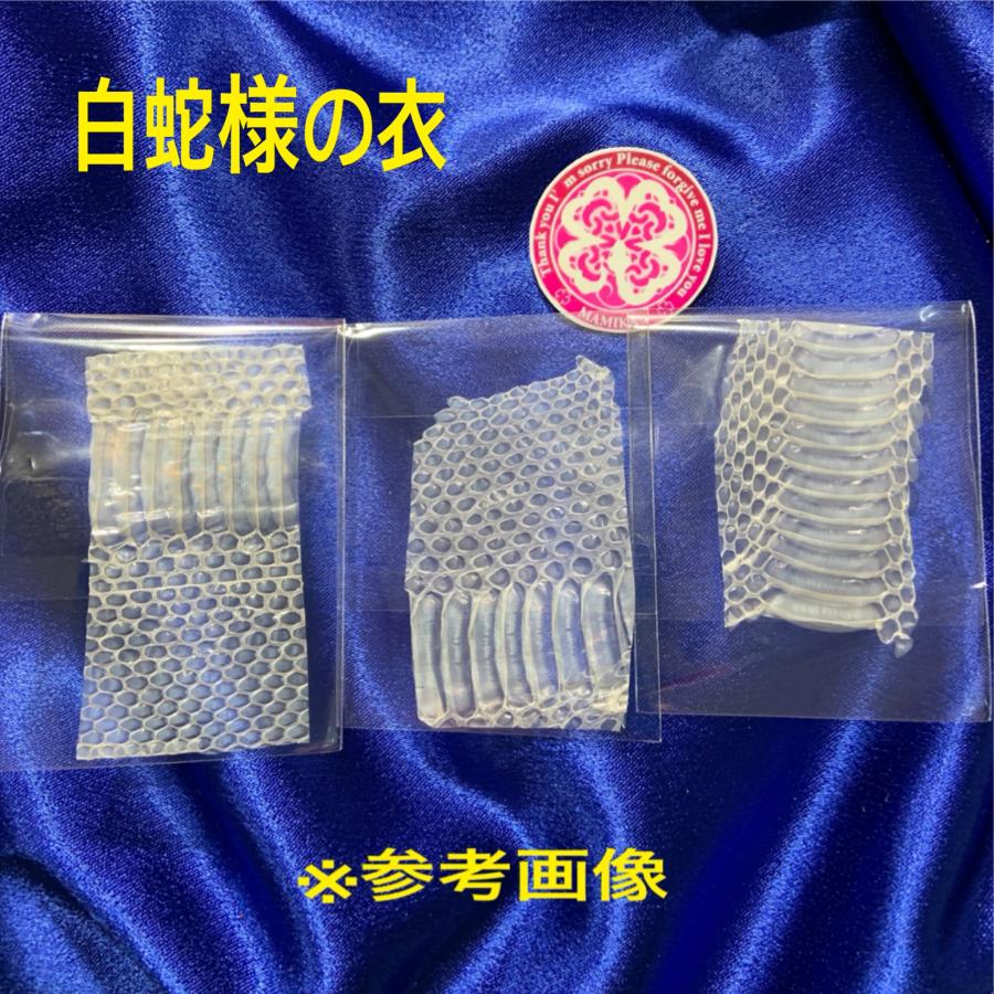 現金1000万円に巻かれていた帯封 一千万円の帯封 1000万円の帯 現金1000万円に巻かれていた帯封 一千万円の帯封 1000万円の帯