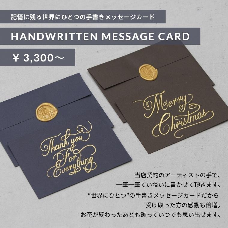 ダーズンローズ 大輪ピンクのバラ花束 12本 結婚式 結婚記念日 薔薇 送料無料 ダーズン 大輪 クリスマス 女性 バラ 花束 プレゼント プロポーズ あすつく D12 Pink マミーローズ Yahoo 店 通販 Yahoo ショッピング