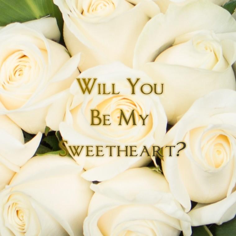 ダーズンローズ 大輪白バラ花束 12本 結婚式 結婚記念日 薔薇 送料無料 ダーズン 大輪 母の日 女性 バラ 花束 プレゼント プロポーズ D12 White マミーローズ Yahoo 店 通販 Yahoo ショッピング