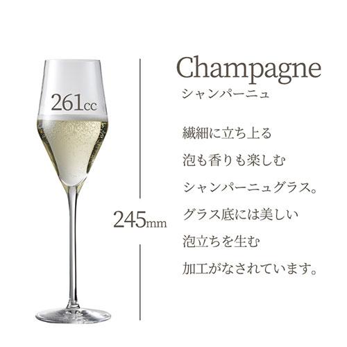 シャンパングラス プラティーヌ シャンパン 261cc 6脚セット 01794