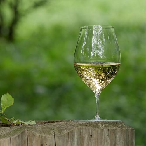 ワイングラス 木村硝子店×コラボ kojitani travelwineglass 麹谷宏