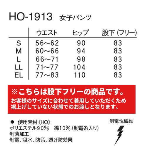 チュニック 白衣 上下セット パンツ ナガイレーベン レディース 医療