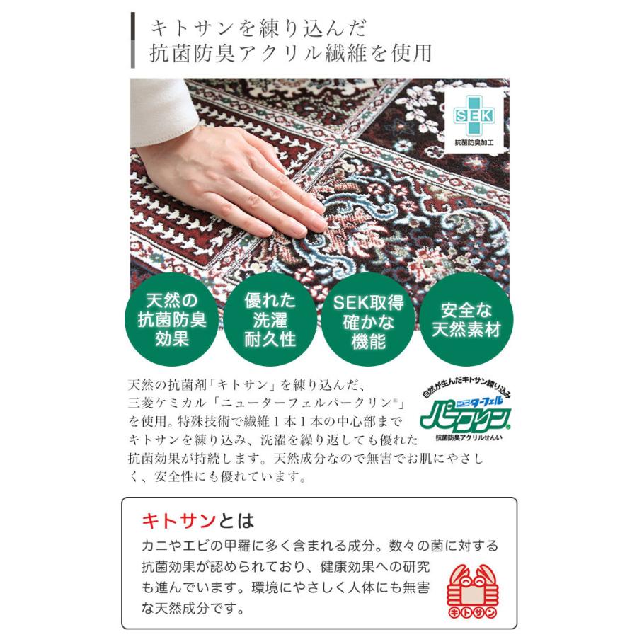 カーペット 韓国 おしゃれ 3畳 かわいい 200x250cm ラグ イザヴェル・アースガル 全2色_11
