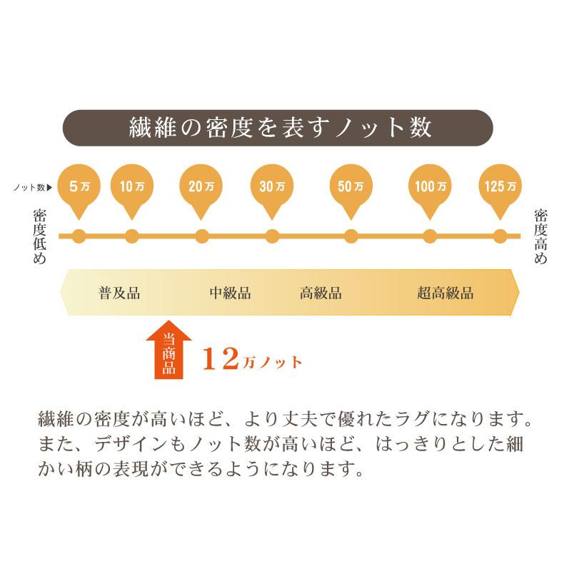 カーペット ラグ 敷物 絨毯 じゅうたん 240x340cm ウィルトンラグ ウラノス_5