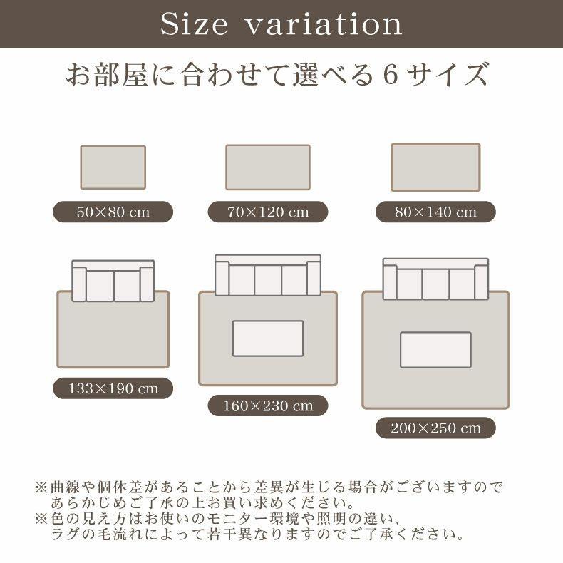 カーペット ラグ 2.3畳 160x230cm 長方形 高級 ウィルトン織 ウィルトン トルコ製 カービング エレガント 北欧 植物 おしゃれ ブラック ウィルトン織ラグ ネム_14