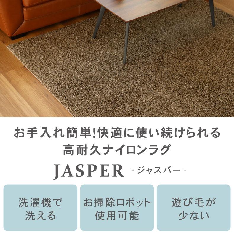 ラグ 洗える シャギーラグ 日本製 4畳 190×290cm 抗菌 防ダニ 滑り