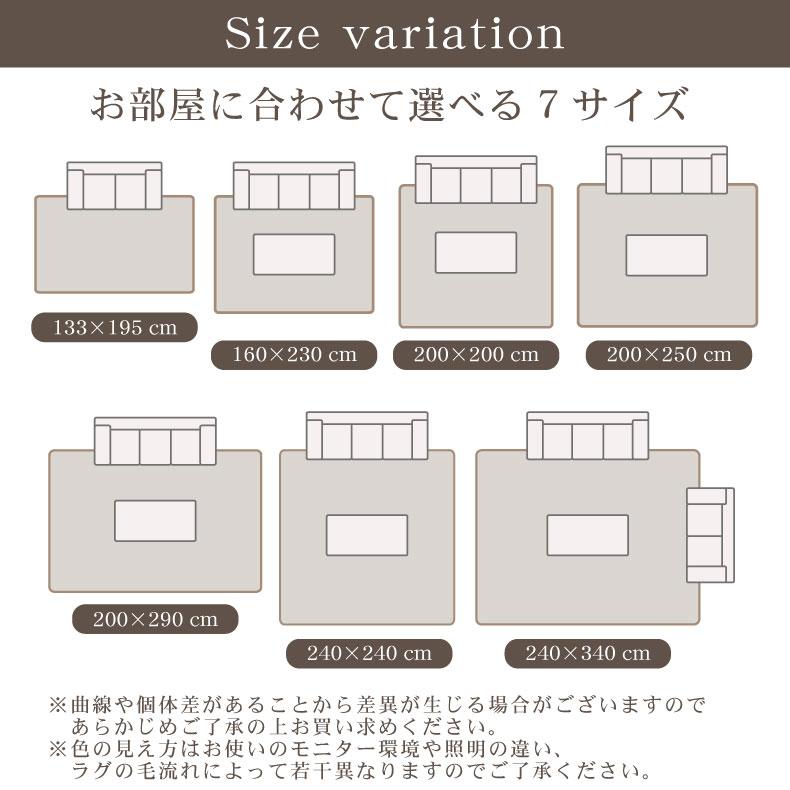 カーペット ラグ 3.5畳 200x290cm 長方形 高級 ウィルトン織 ウィルトン ベルギー製 北欧 オリエンタル クラシック お洒落 ネイビー ウィルトン織ラグ ヴォルテ2_14