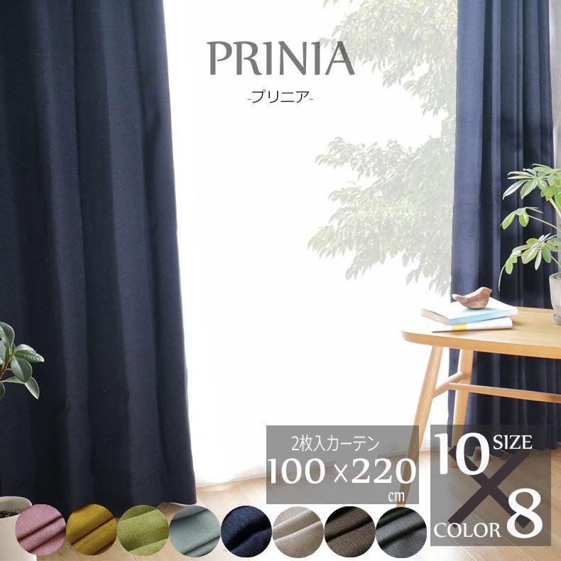 100 220 カーテン 遮光 トレープ かわいい 幅100 丈220 cm 2枚組み