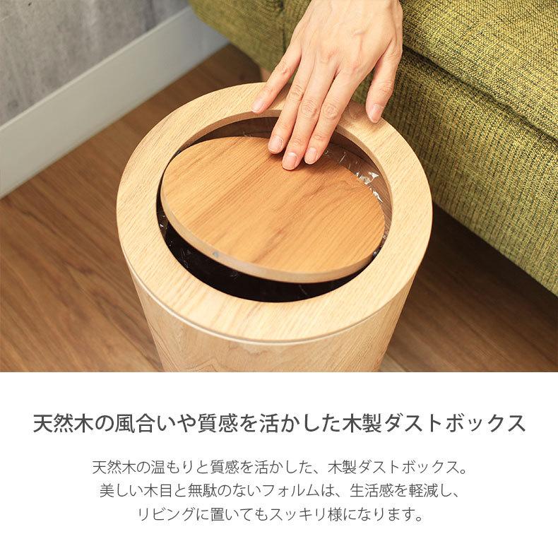 マナベインテリアハーツ ダストボックス ゴミ箱 ごみ箱 リットル 9L