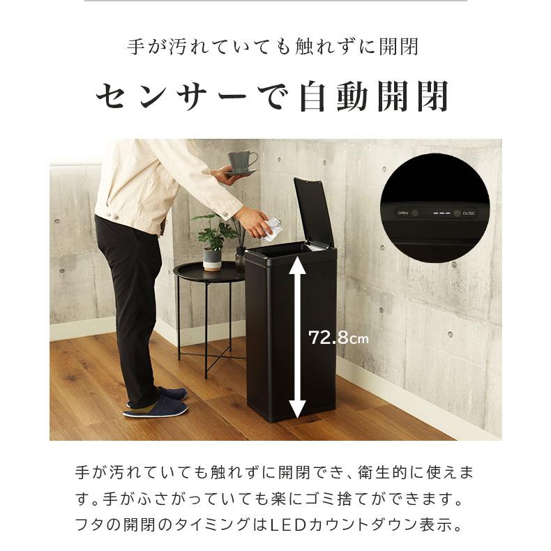 マナベインテリアハーツ ダストボックス ゴミ箱 ごみ箱 リットル 50L
