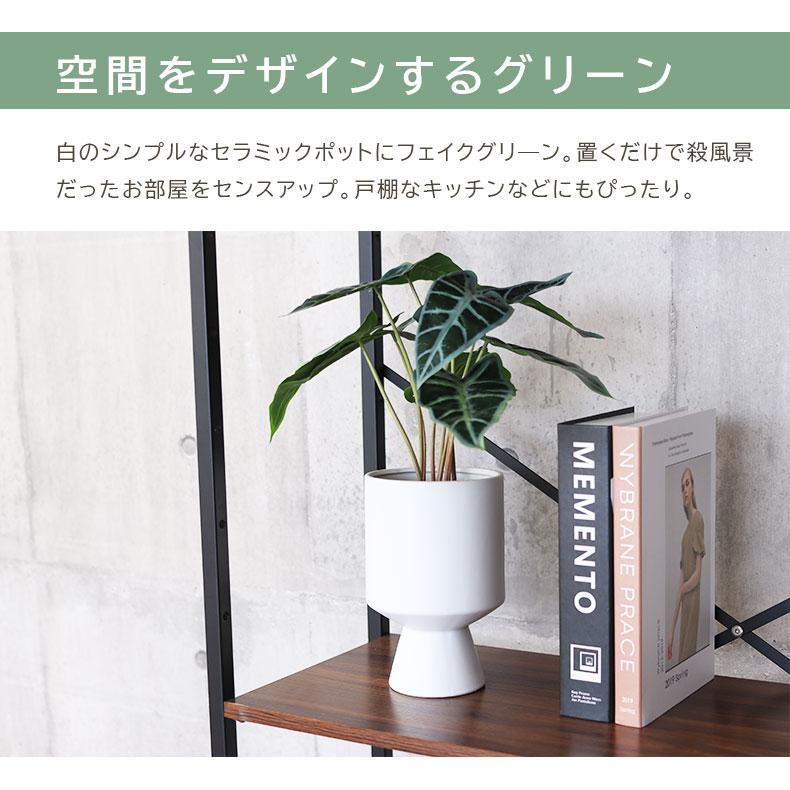 マナベインテリアハーツ 人工 観葉植物 フェイク ボタニカルライフ