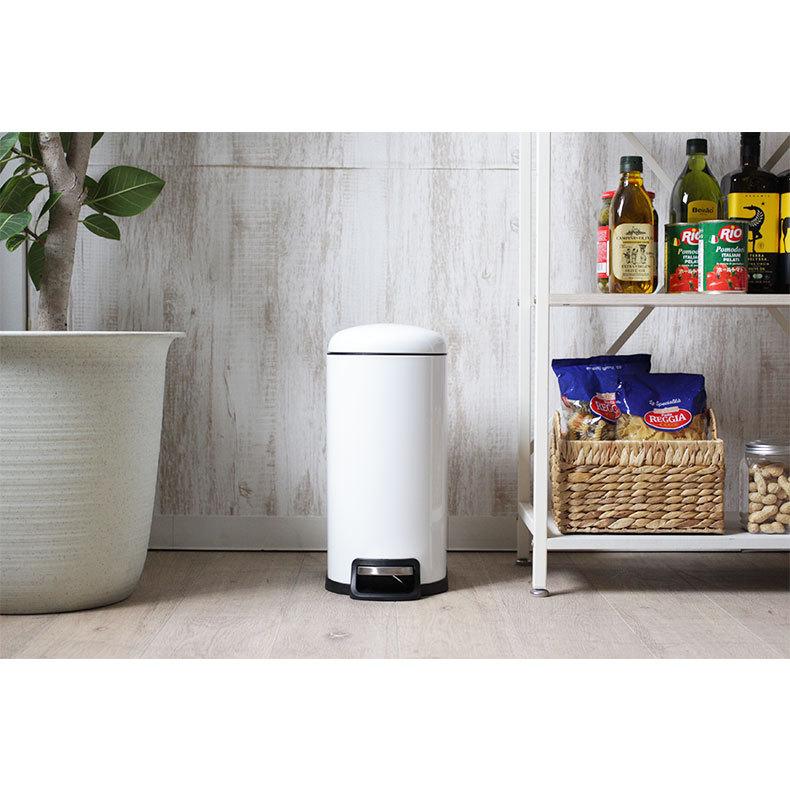 マナベインテリアハーツ ごみ箱 ペダル式 ふた付き 10リットル 白