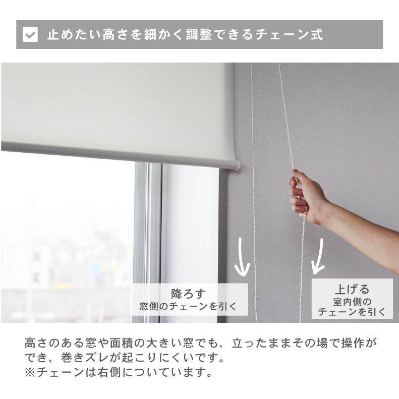 マナベインテリアハーツ ロールスクリーン 幅90 丈220cm 採光