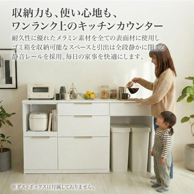 マナベインテリアハーツ キッチンカウンター 幅120 ダスト ゴミ箱 背面 