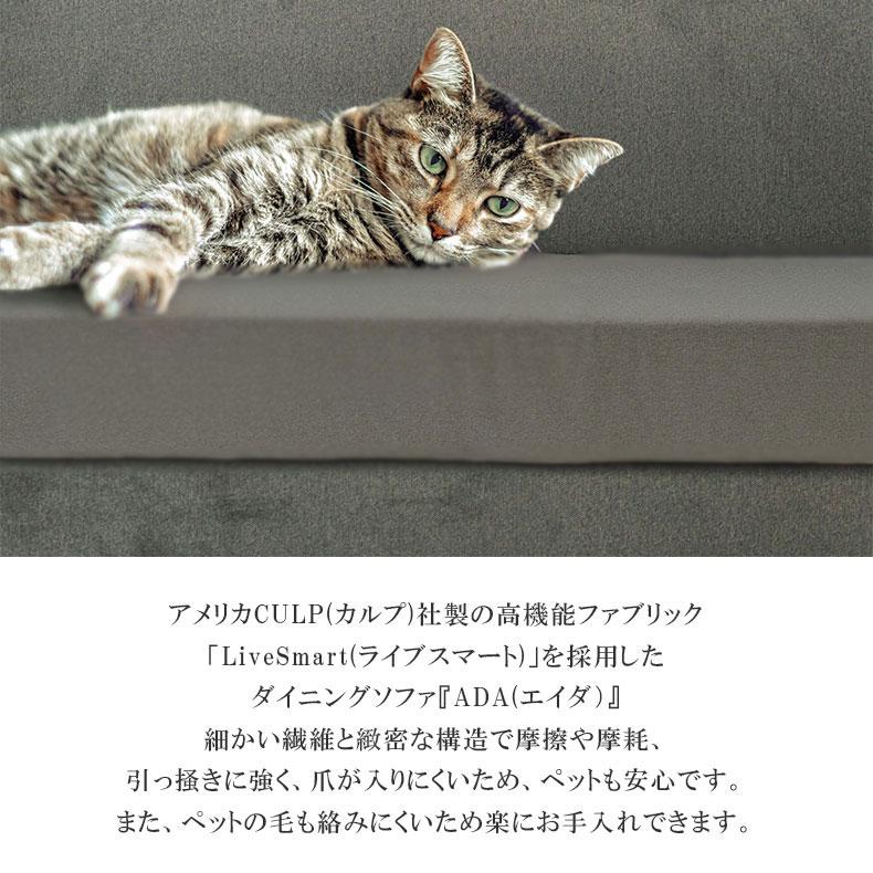 マナベインテリアハーツ ダイニングソファ ダイニングベンチ セット