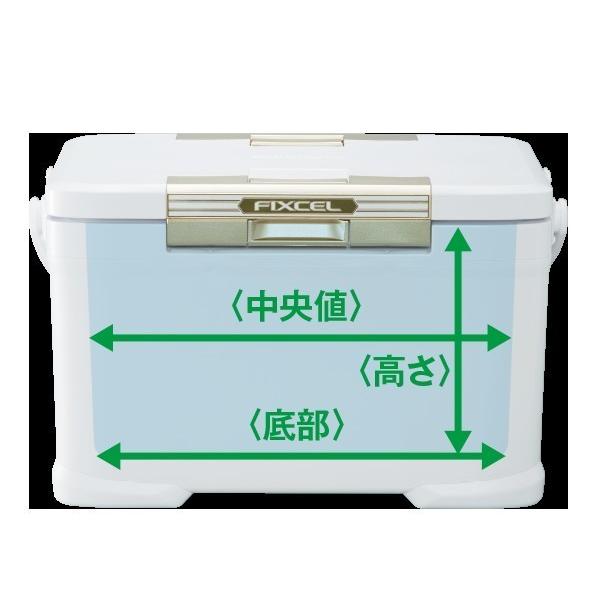 シマノ（SHIMANO） シマノクーラー フィクセルライト170 LF-017N