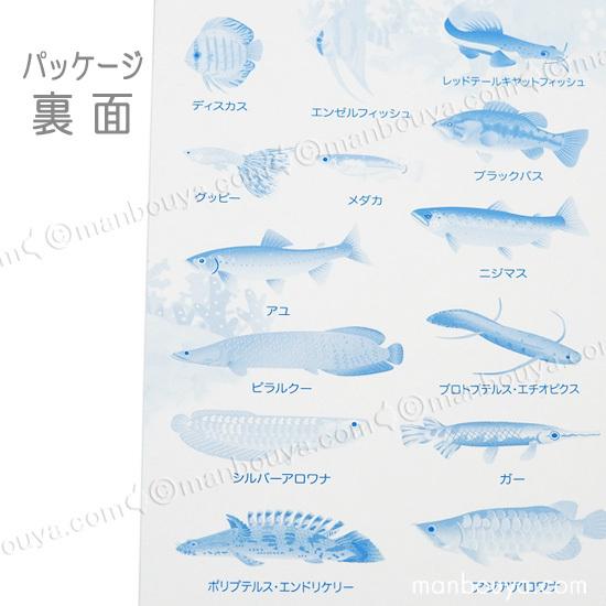 淡水エイ　魚　洋書　Aqualog 南アメリカ　南米　Ray 淡水魚　熱帯魚　魚 淡水エイ 魚 洋書 Aqualog 南アメリカ 南米 Ray 淡水魚 熱帯魚