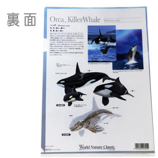 大流行中 クリアファイル シャチ グッズ 雑貨 文房具 World Nature Classic クリアホルダー オルカ メール便発送可 Discoversvg Com