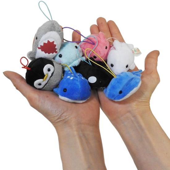 海の動物 ジンベエザメ ぬいぐるみ サメ アミューズ Amuse ぷちまる 水族館 ジンベイ鮫 7cm メール便発送可 Am まんぼう屋ドットコム Yahoo 店 通販 Yahoo ショッピング