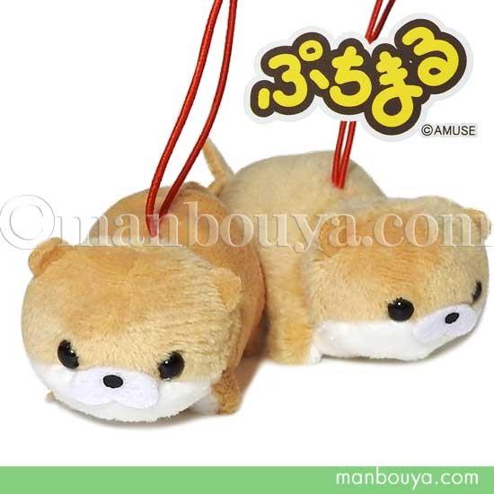 カワウソ ぬいぐるみ アミューズ Amuse ぷちまる 水族館 かわうそ 這い 6 5cm メール便発送可 Am まんぼう屋ドットコム Yahoo 店 通販 Yahoo ショッピング