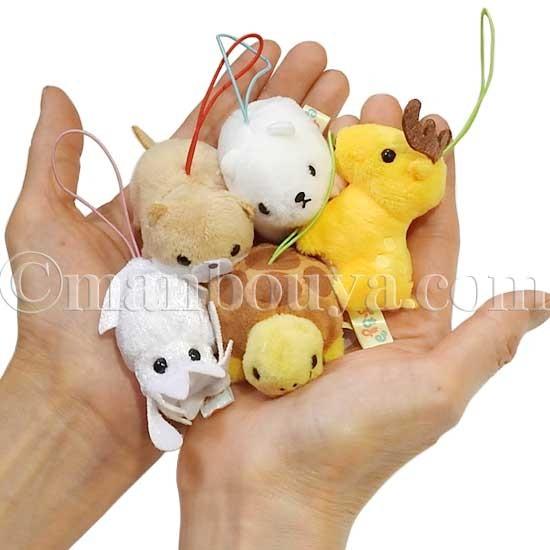 カメ ぬいぐるみ アミューズ Amuse ぷちまる 動物園 陸亀 6 5m メール便発送可 Am まんぼう屋ドットコム Yahoo 店 通販 Yahoo ショッピング