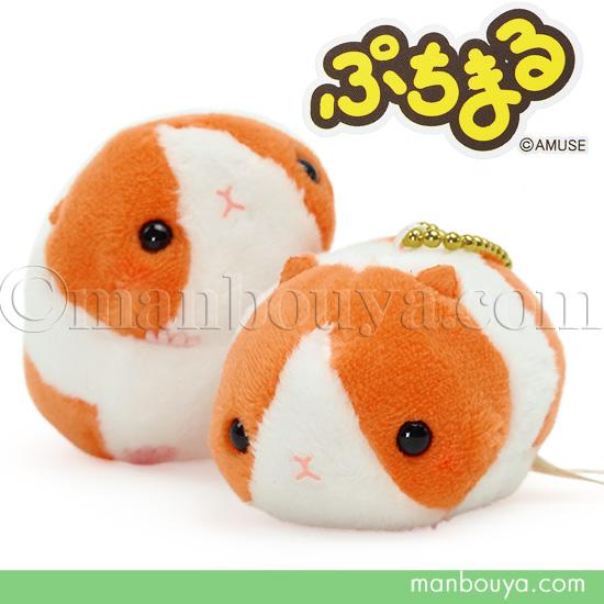 モルモット ぬいぐるみ ぷちまる 動物園 アミューズ AMUFUN