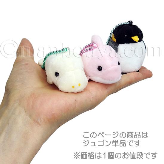 ジュゴン ぬいぐるみ 水族館グッズ アミューズ AMUFUN ぷちまる