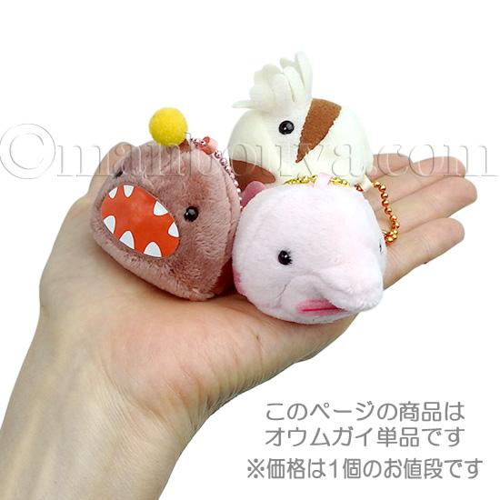 オウムガイ ぬいぐるみ 古代魚 水族館グッズ アミューズ AMUFUN
