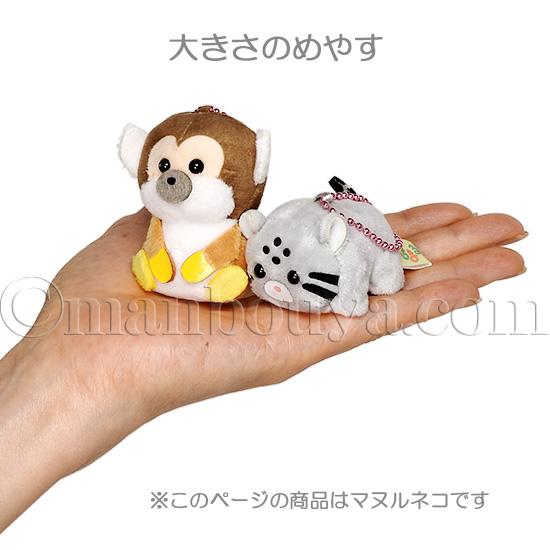 マヌルネコ ぬいぐるみ 猫 ぷちまる アミューズ AMUFUN アニマルズDX