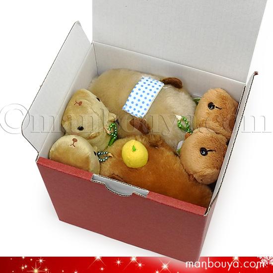 『カハラちゃん』6本セット カワサキ Ninja ZX－6R｜カワサキ プラザ松本｜新車