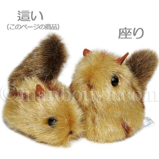 kiyata リス　マグネット kiyata リスマグネット