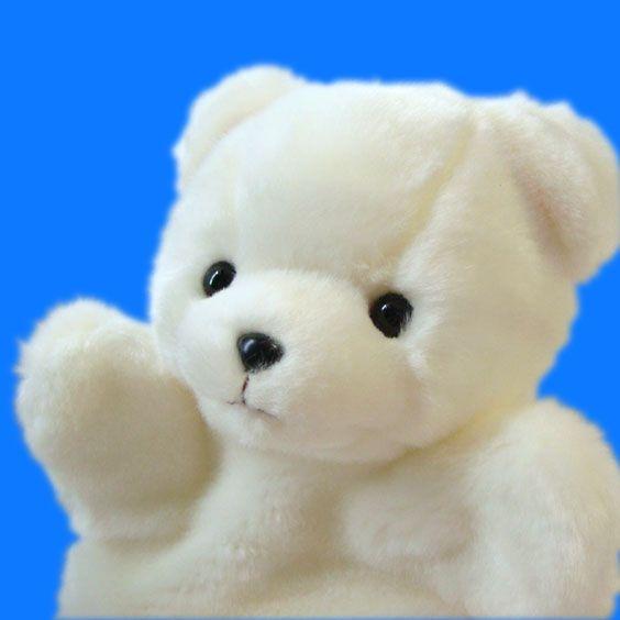 白くまのぬいぐるみ ハンドパペット 海の 動物 Aquaマリンシリーズ シロクマ まんぼう屋ドットコム Aq まんぼう屋ドットコム Yahoo 店 通販 Yahoo ショッピング
