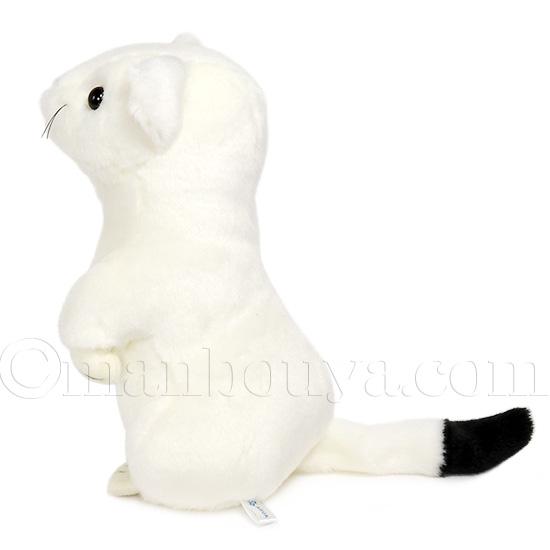 オコジョ ぬいぐるみ 白 動物 AQUA M 21cm : まんぼう屋ドットコム