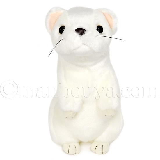 オコジョ ぬいぐるみ 白 動物 AQUA M 21cm : まんぼう屋ドットコム