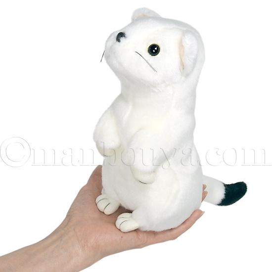 オコジョ ぬいぐるみ 白 動物 AQUA M 21cm : まんぼう屋ドットコム