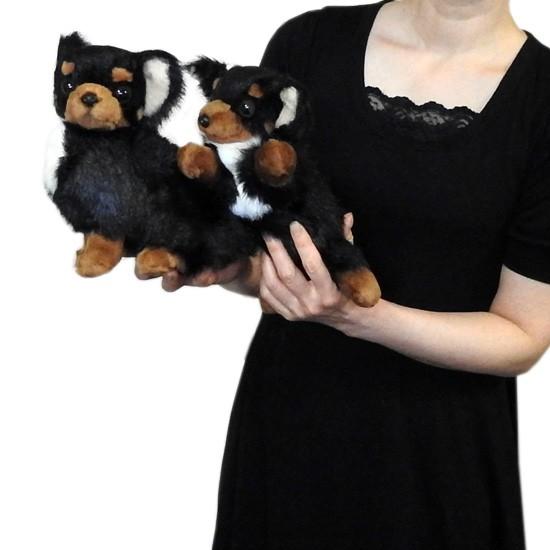 719円 海外 クリスマス ぬいぐるみ 犬 チワワ グッズ A Show 栄商 ロングコートチワワ座り ブラック タン 19cm サンタ衣装